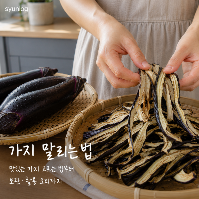 여름 제철 가지 말리는 법, 맛있는 가지 고르는 법부터 보관·활용 요리까지