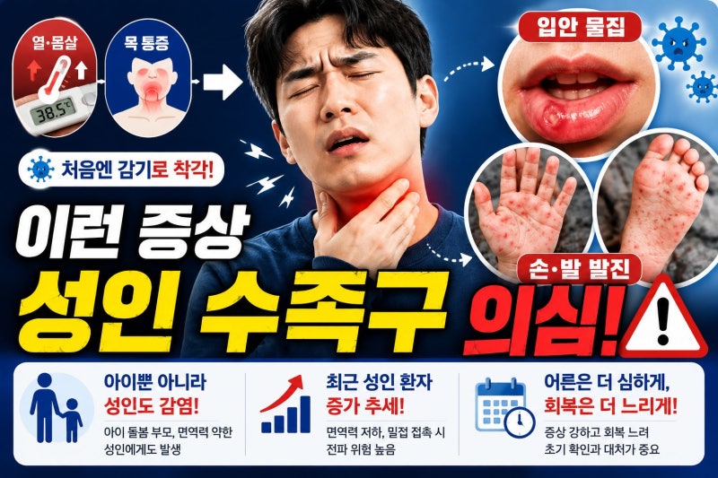 감기인 줄 알았는데 성인 수족구? 초기증상·잠복기·전염 기간·격리 기준