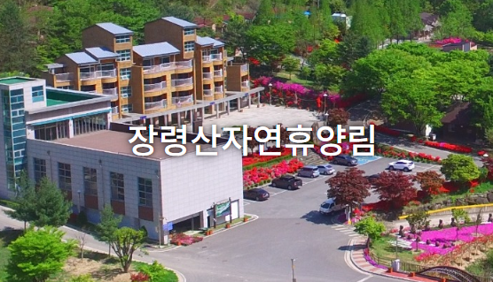 장령산 사진 2