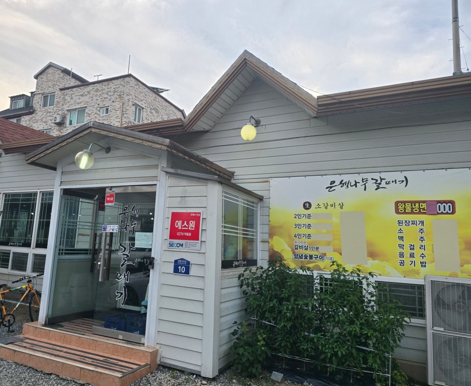 은행나무갈매기 사진 1