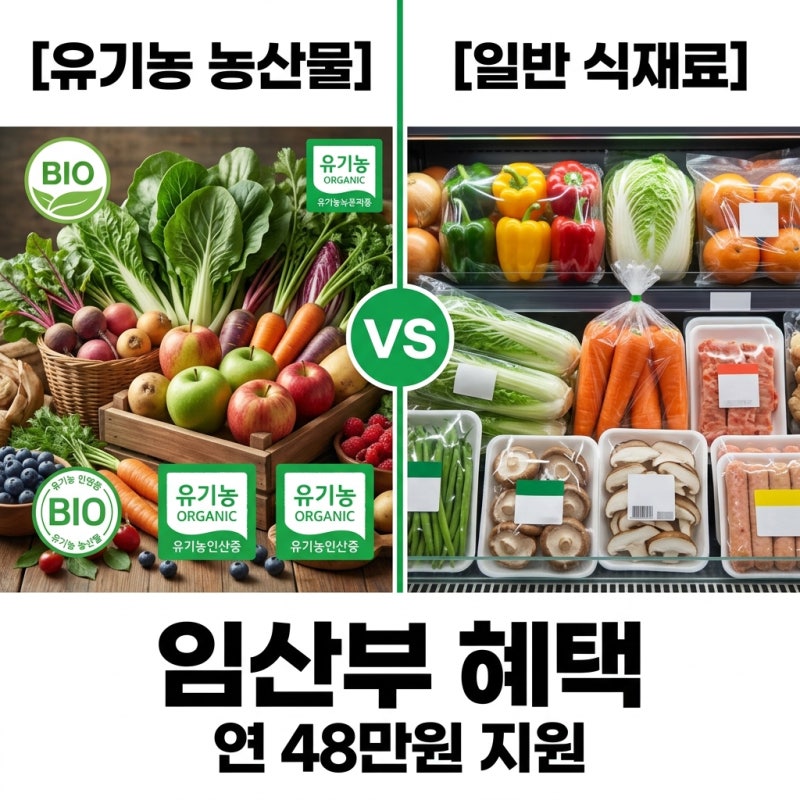 임산부 친환경 농산물 2026 신청 방법과 혜택 꾸러미 총정리