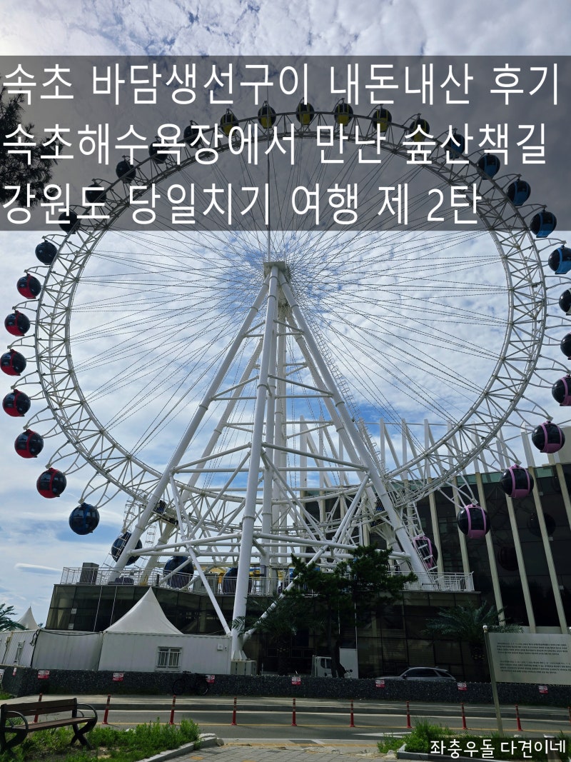 당일치기 속초 여행 코스 추천, 속초 아이 대관람차 뷰 맛집 바다를 품은 속초해수욕장 바담 ....