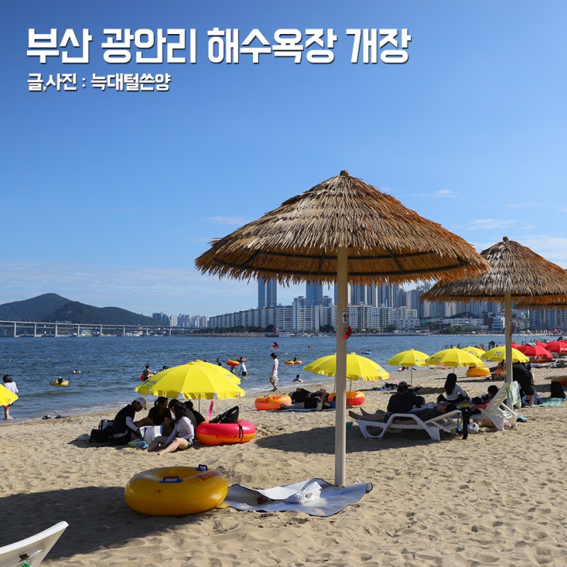 부산 광안리 해수욕장 개장 시간 주차장 추천 샤워 파라솔