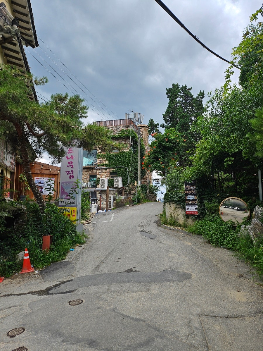 버드나무집 사진 4