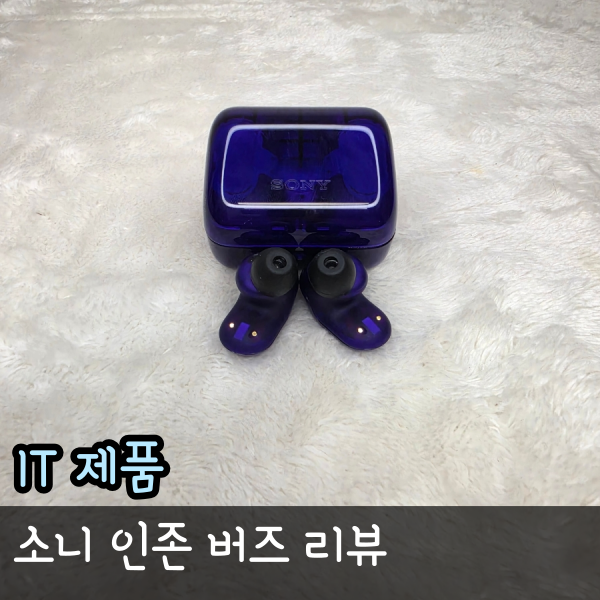 소니 인존 버즈 여름철 게이밍 이어폰 추천