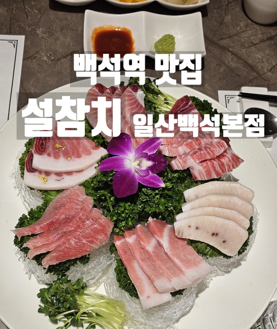 설참치 일산백석본점 사진 1