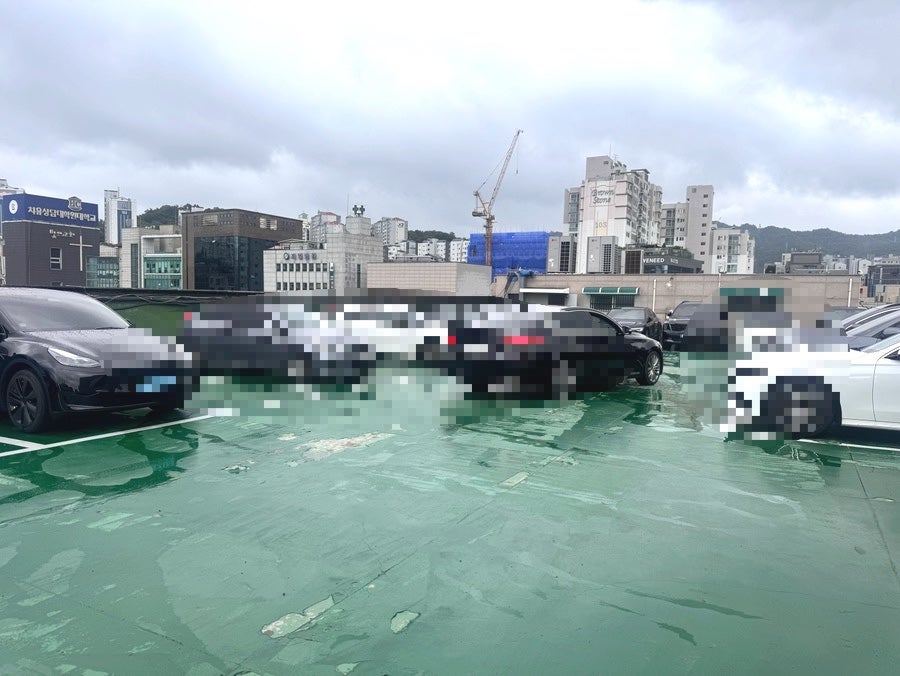 봄담아 방배점 사진 2