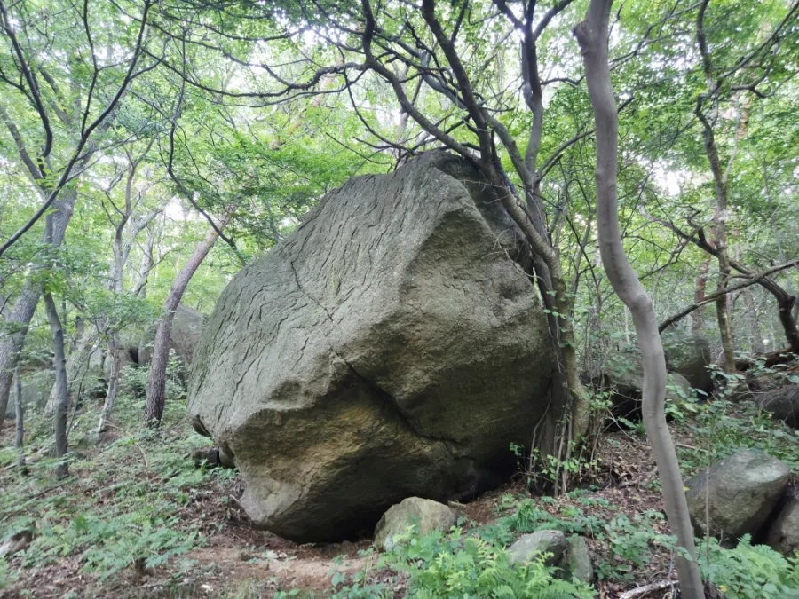 냉면만허유 사진 2