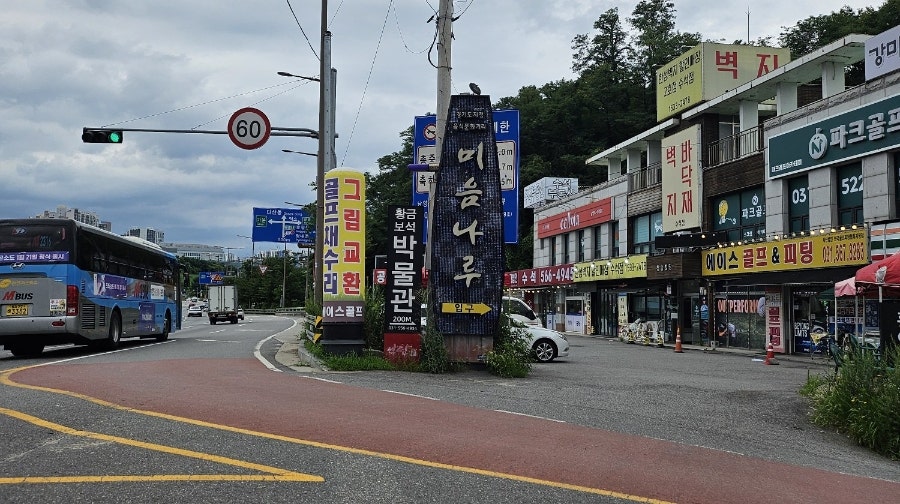 버드나무집 사진 2