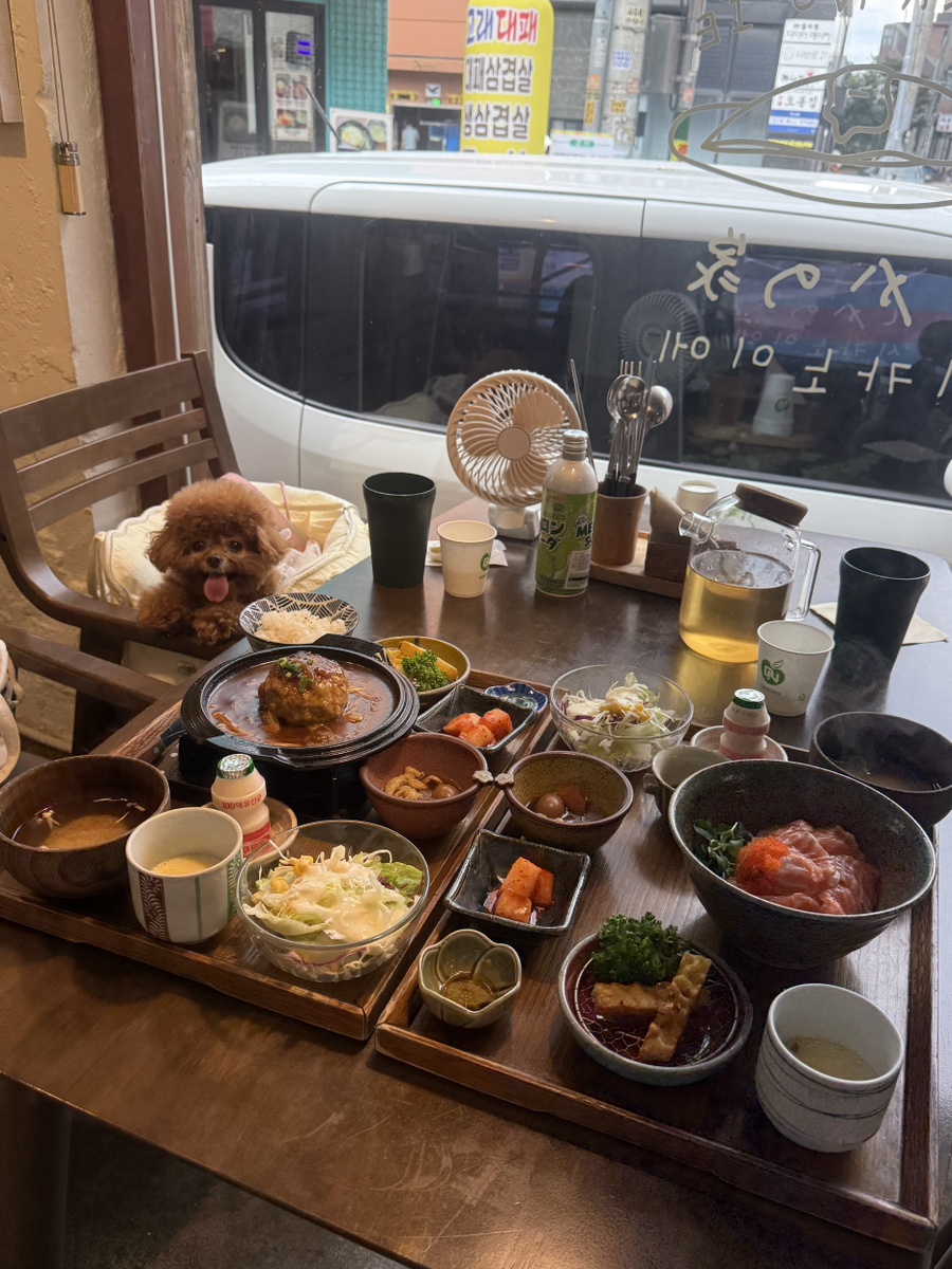 시카노이에 사진 5