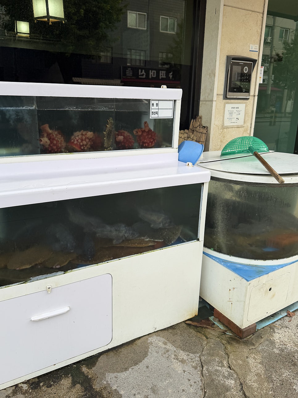 현대수산 사진 2