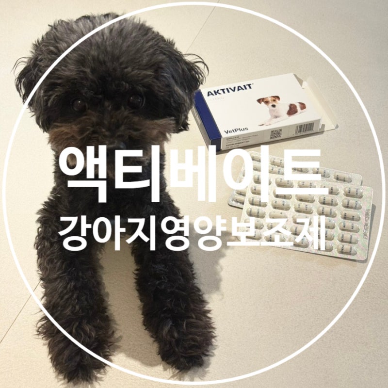 벳플러스 액티베이트, 노령견 인지기능저하 개선 항산화효과 영양보조제