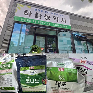 대전 유성 복용동 하늘농약사 캐스터 대포 코니도 구입