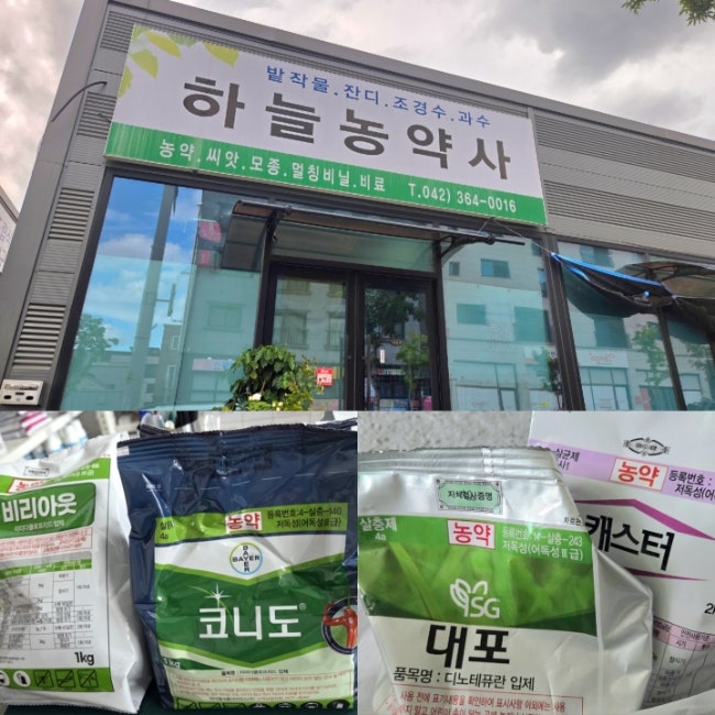 대전 유성 복용동 하늘농약사 캐스터 대포 코니도 구입