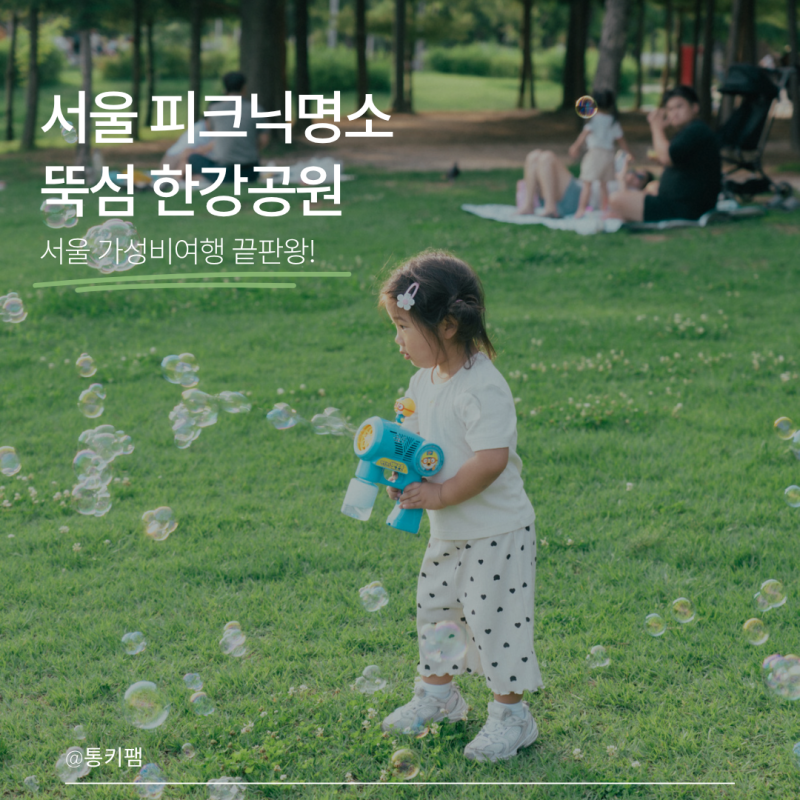 한강 피크닉 명소 뚝섬한강공원 방문기