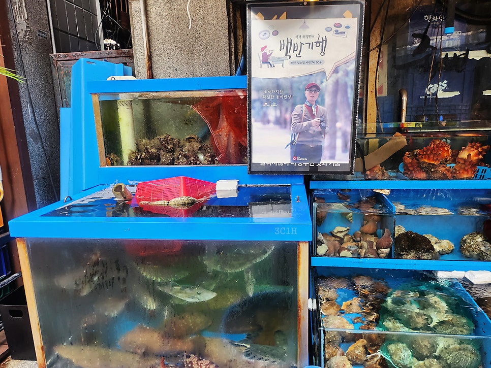 죽변항 사진 5
