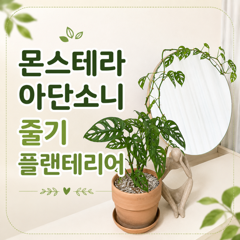 몬스테라 아단소니 줄기 너무 길어졌다면? 자르기 전 플랜테리어로 활용하는 법