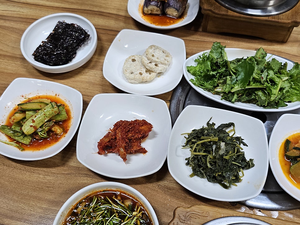 목향 사진 6