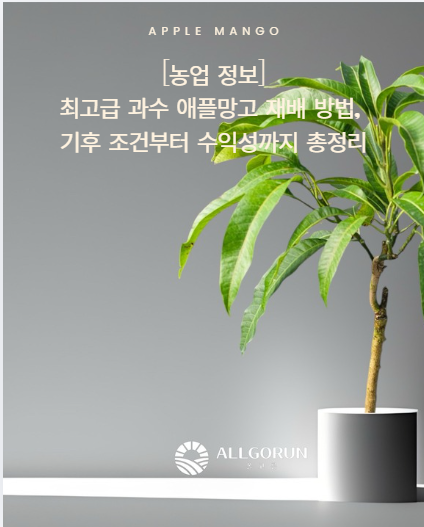[농업 정보] 최고급 과수 '애플망고' 재배 방법, 기후 조건부터 수익성까지 총정리