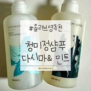 올리브영 추천템 | 청미정 민트쿨 샴푸&다시마 샴푸(내돈내산 성분좋은 샴푸·여름 샴푸 추천....