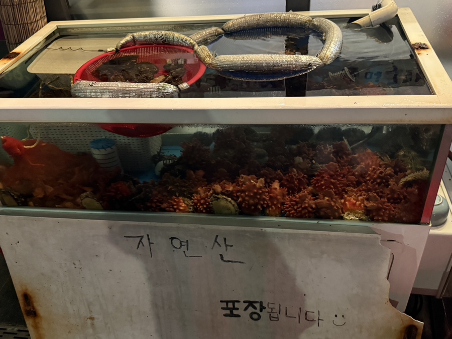 머구리포차 사진 5