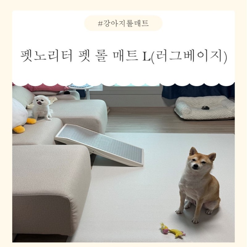 [강아지매트] 반려동물 쓸개골 예방 매트 '펫노리터 펫롤매트 러그베이지 L' 코스트코 추천템....