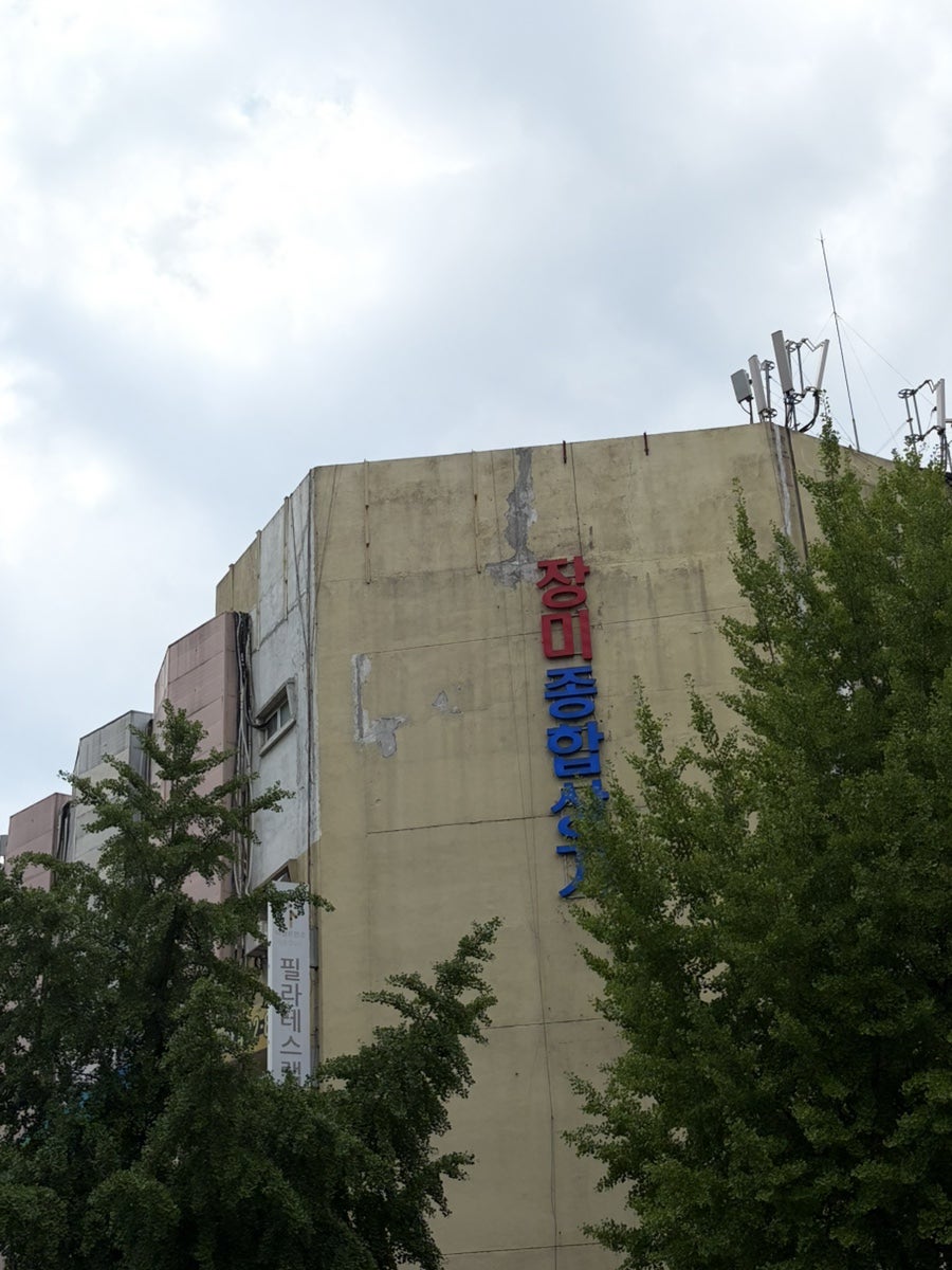 서커스래빗 사진 1