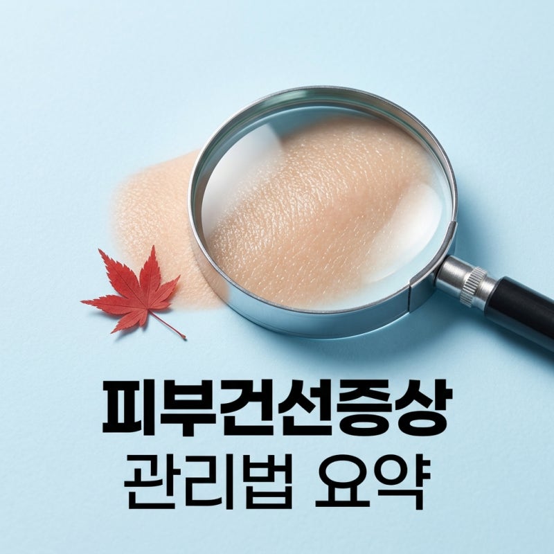 피부건선증상 5가지 특징과 재발 피하는법 요약 가이드