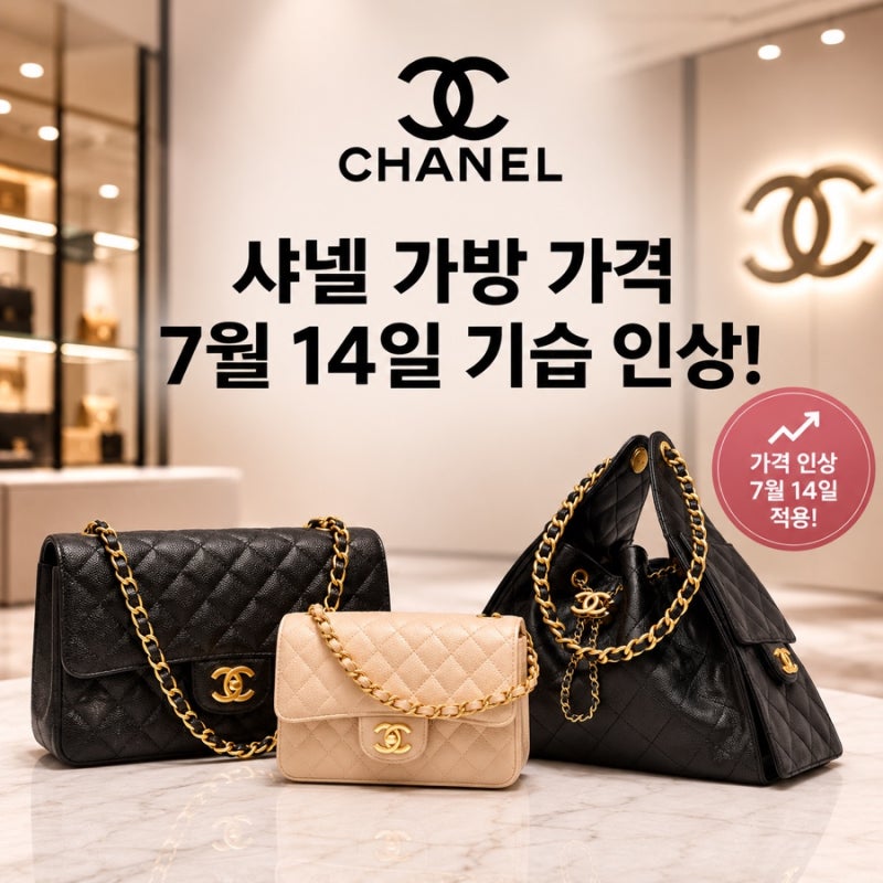 종합정리 | 샤넬 가방 기습 인상 | 어떤 샤넬백이 얼마나 올랐을까? 가격 인상 정보 정리 | 클....