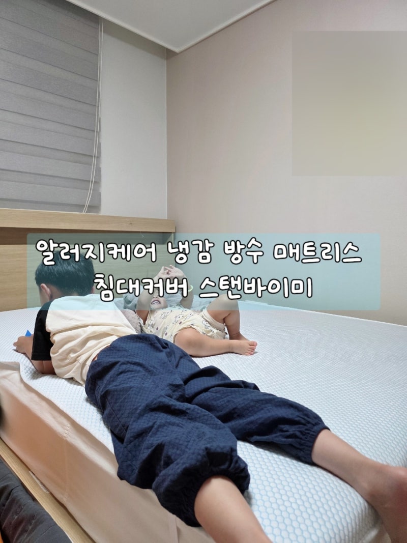 알러지케어 냉감 방수 매트리스 침대커버 스탠바이미