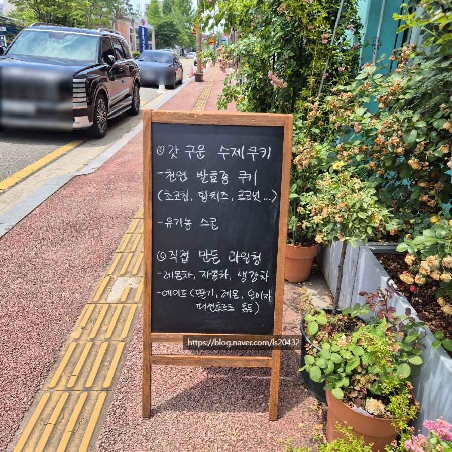 보듬 사진 2