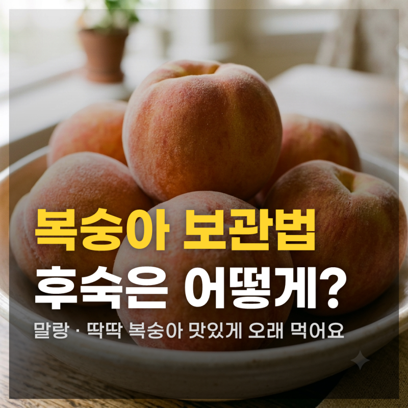 복숭아 냉장 보관? 말랑 딱딱 복숭아 오래 맛있게 보관하는 방법