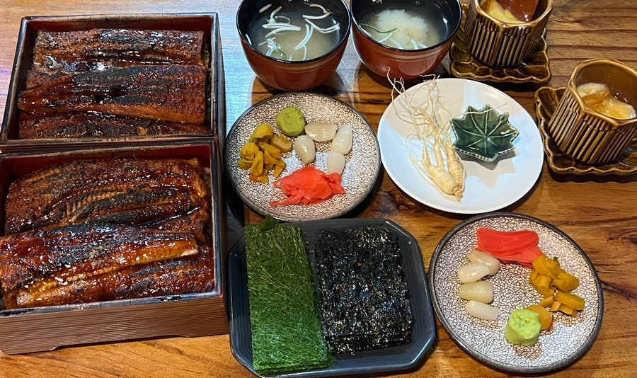 타마 사진 1