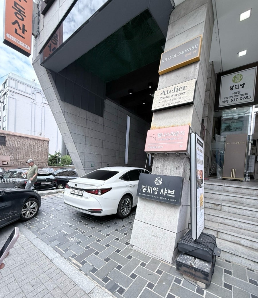 봉피양샤브 서래점 사진 2