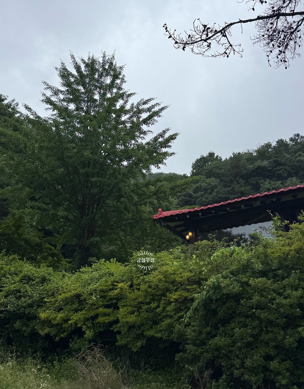 이호갤러리 사진 3