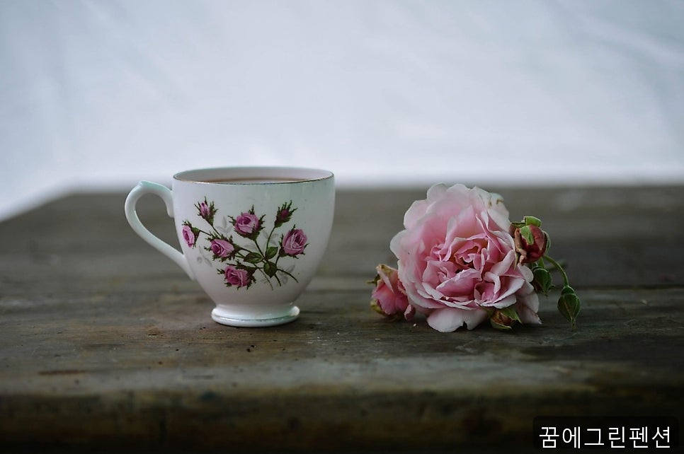 꿈에그린 사진 2