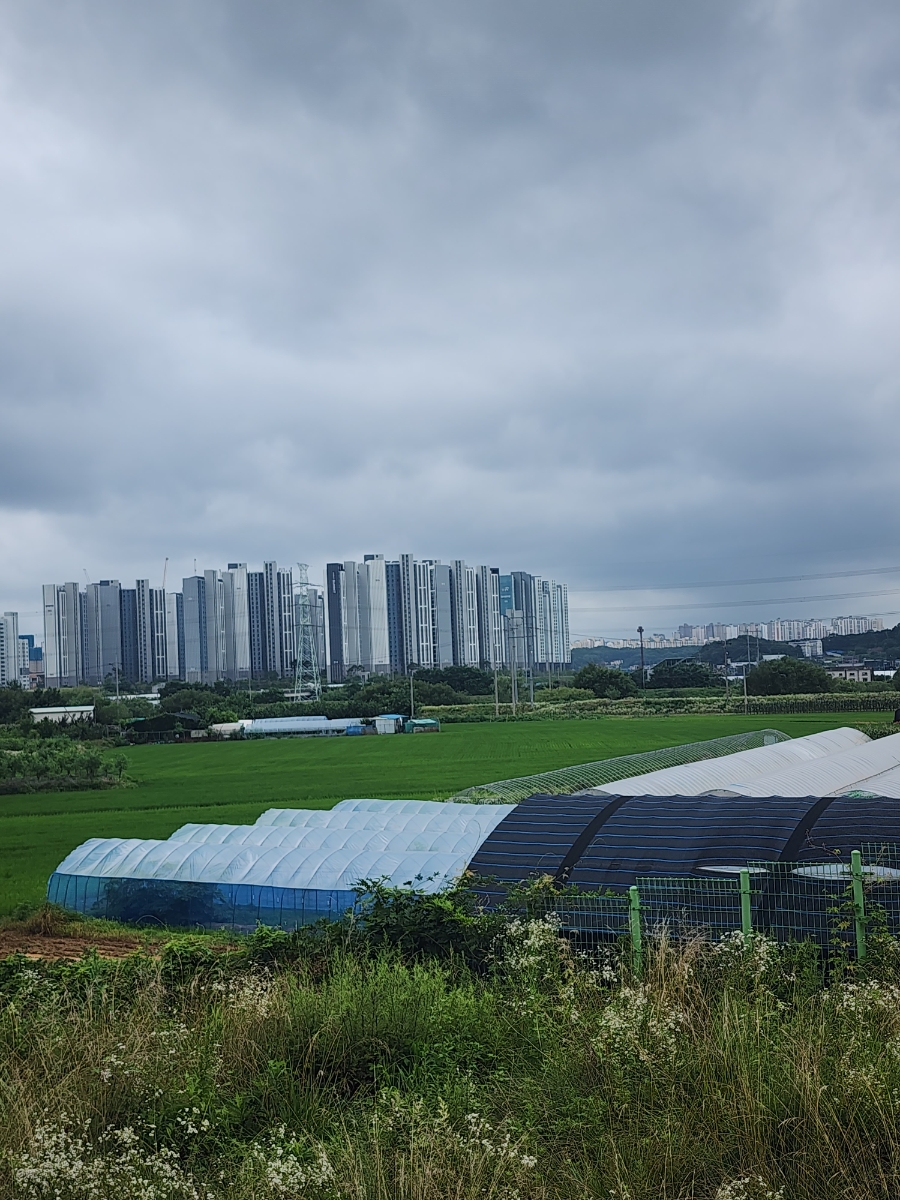 슬로우캘리 금릉역점 사진 2