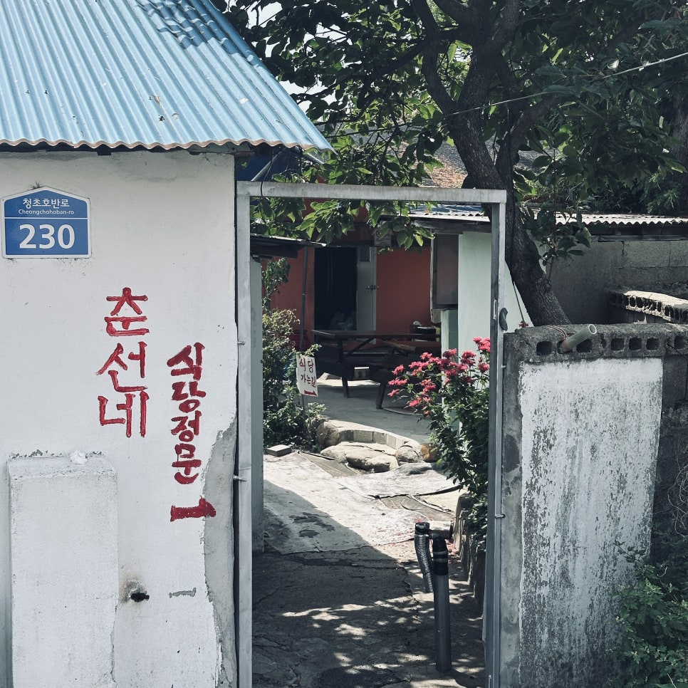 춘선네 사진 1