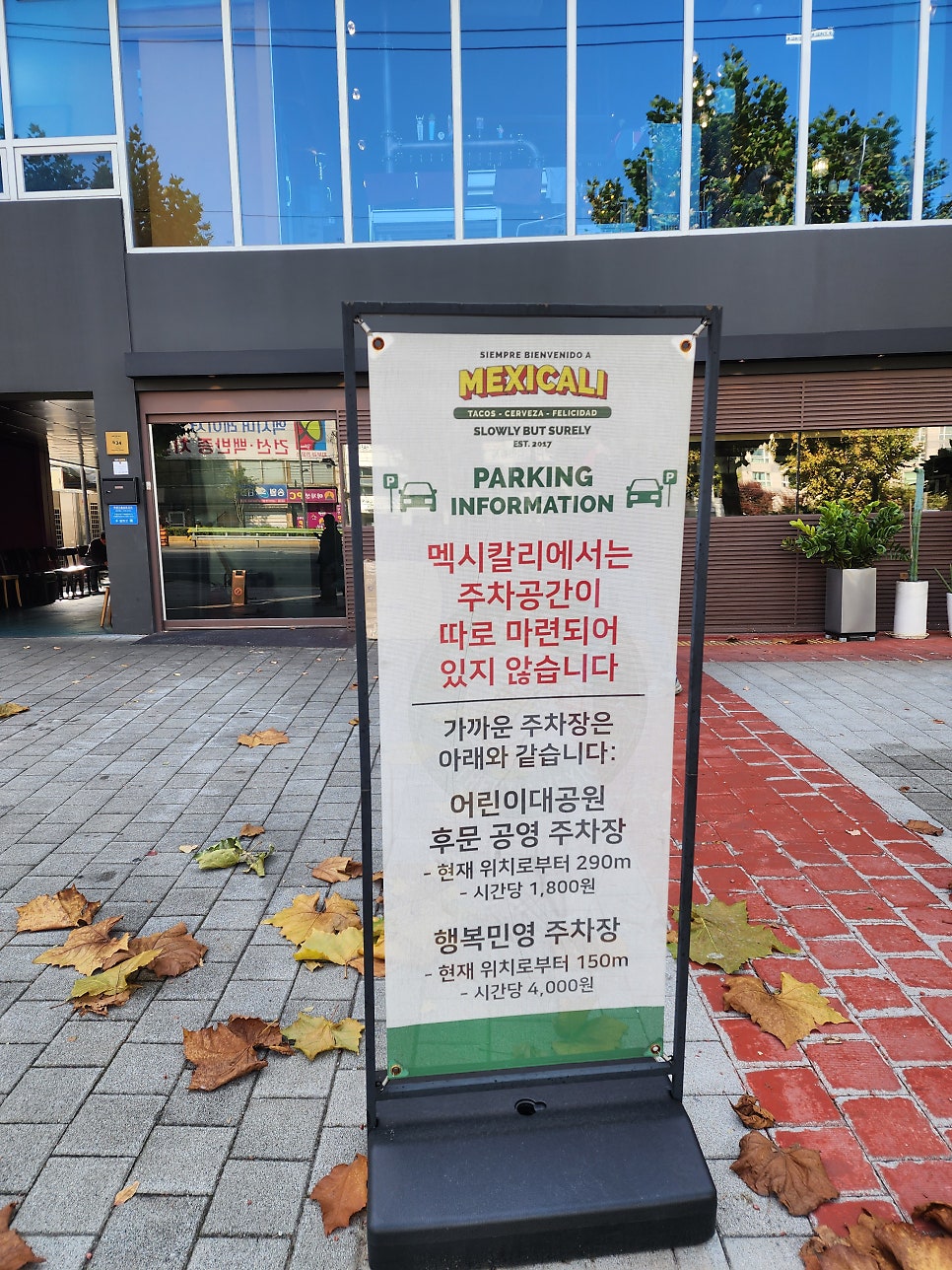 멕시칼리 사진 2