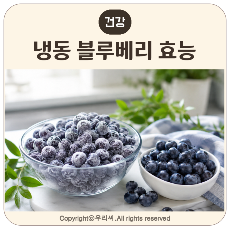 냉동 블루베리 효능, 생블루베리보다 더 좋을까? 영양과 먹는 법 총정리