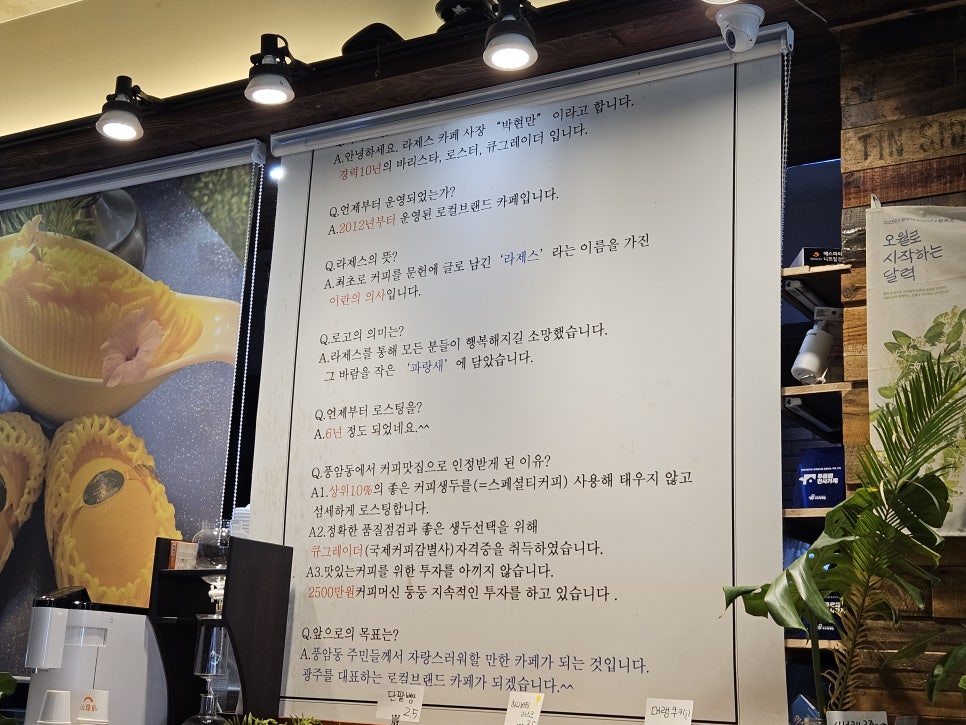 라제스 사진 2