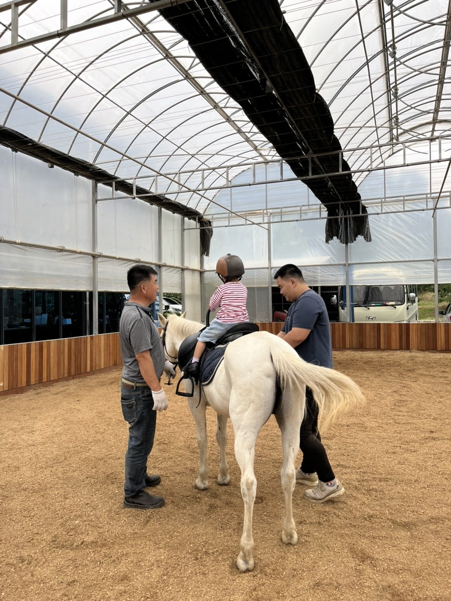 힐링공유팜 사진 2