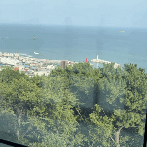 해운대 비비비당｜달맞이고개 오션뷰 카페, 팥빙수와 전통차가 유명한 블루리본 카페