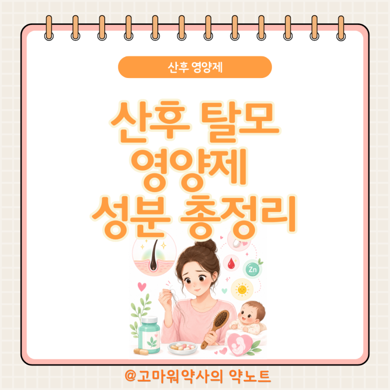 산후 탈모 영양제 약사가 정리, 언제 시작해서 언제 회복되는지·비오틴·판시딜까지