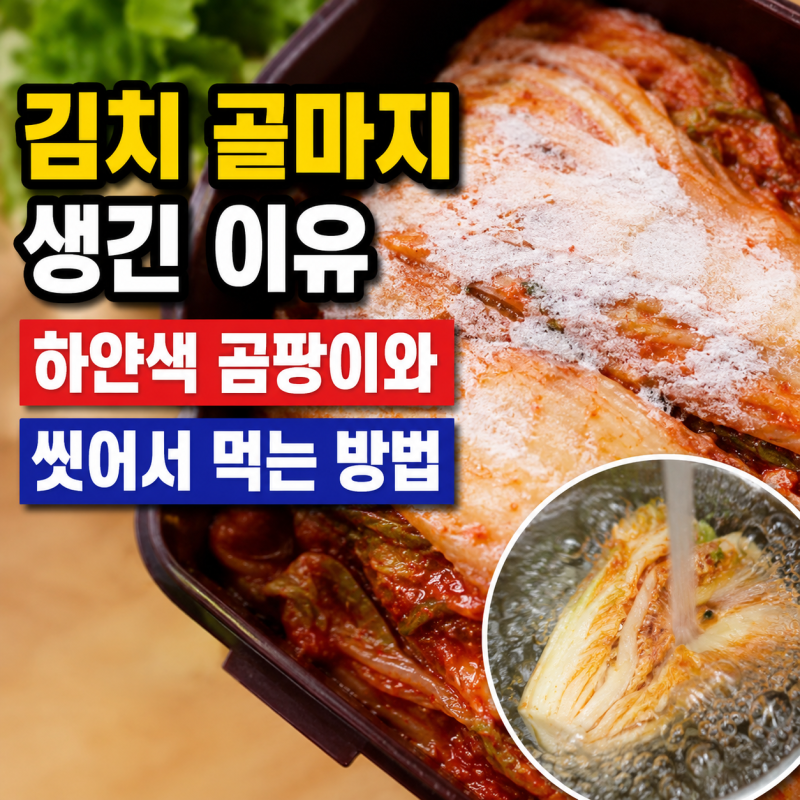 김치 골마지 생긴 이유, 하얀색 곰팡이와 씻어서 먹는 방법