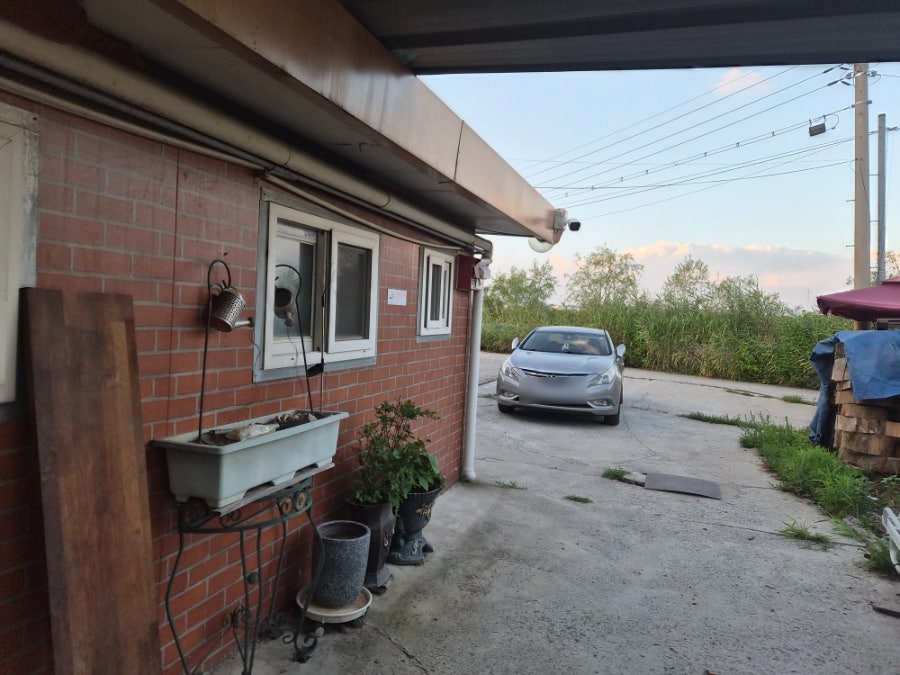 김포밤나무집 사진 3