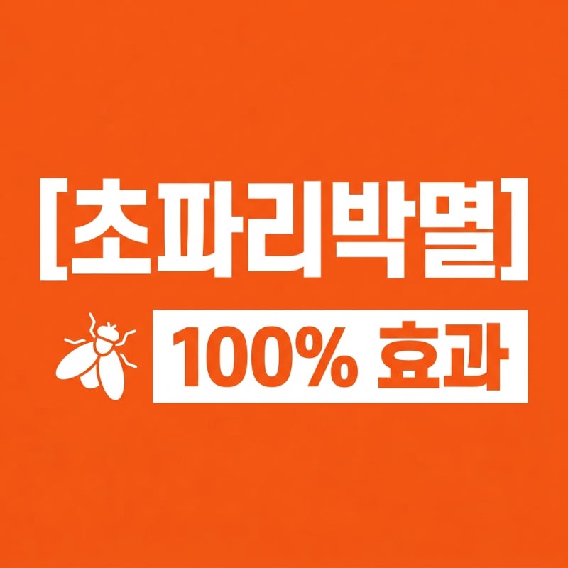 초파리박멸 확실한 방법 5가지와 다이소보다 강력한 DIY 비법