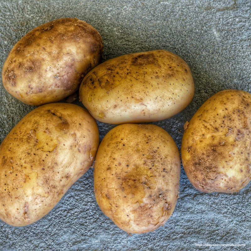 삶은 감자 칼로리 다이어트 방법과 보관법 영양성분과 공복 혈당 괜찮은가?