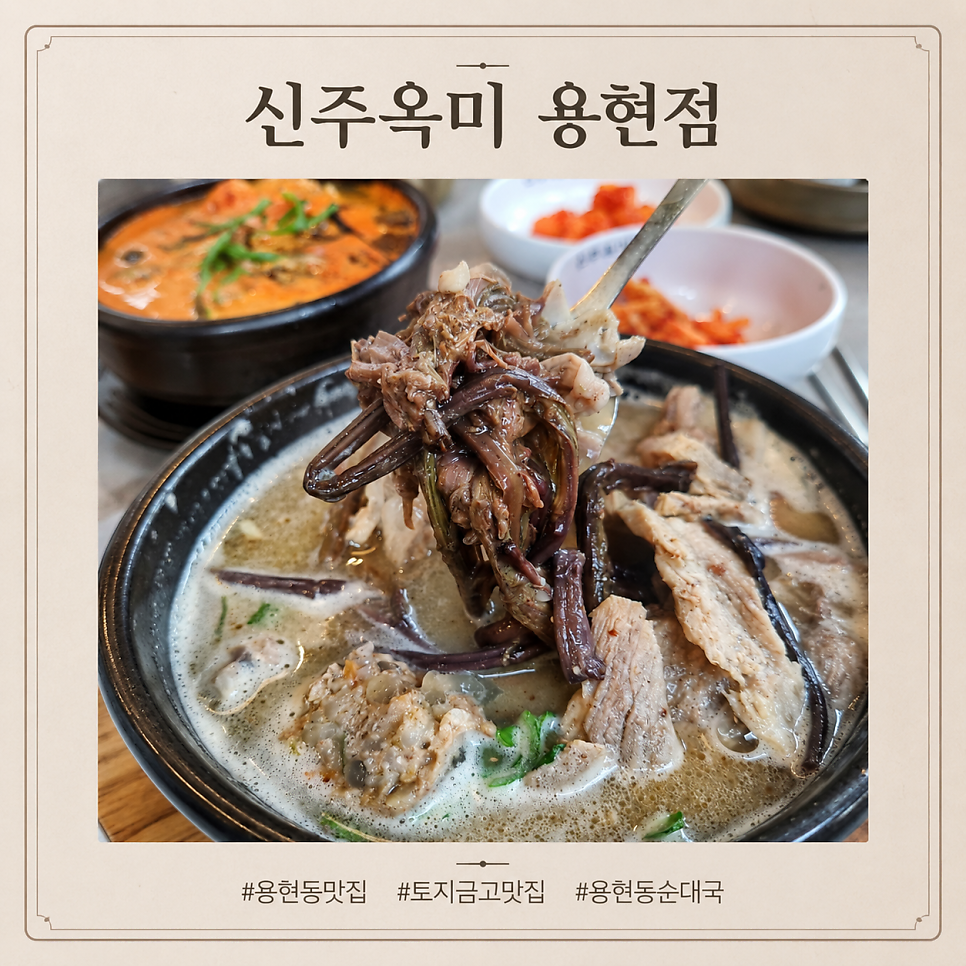 토지 사진 1
