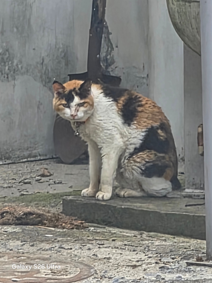향수민물매운탕장어구이 사진 1